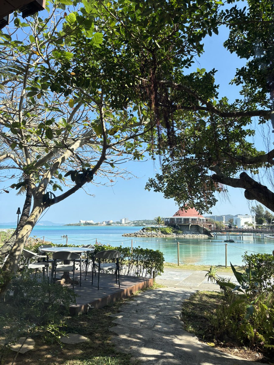 15y_grm's tweet photo. ルネッサンス行ってきた🌴 https://t.co/YMBLP7a2Hs
