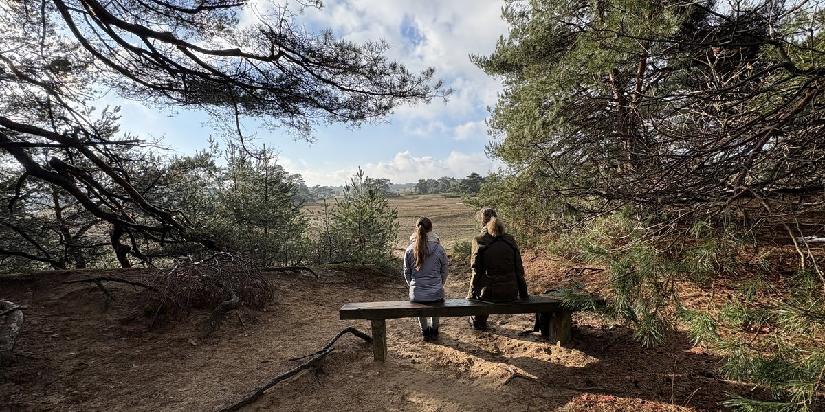 Wandelnet tweet media