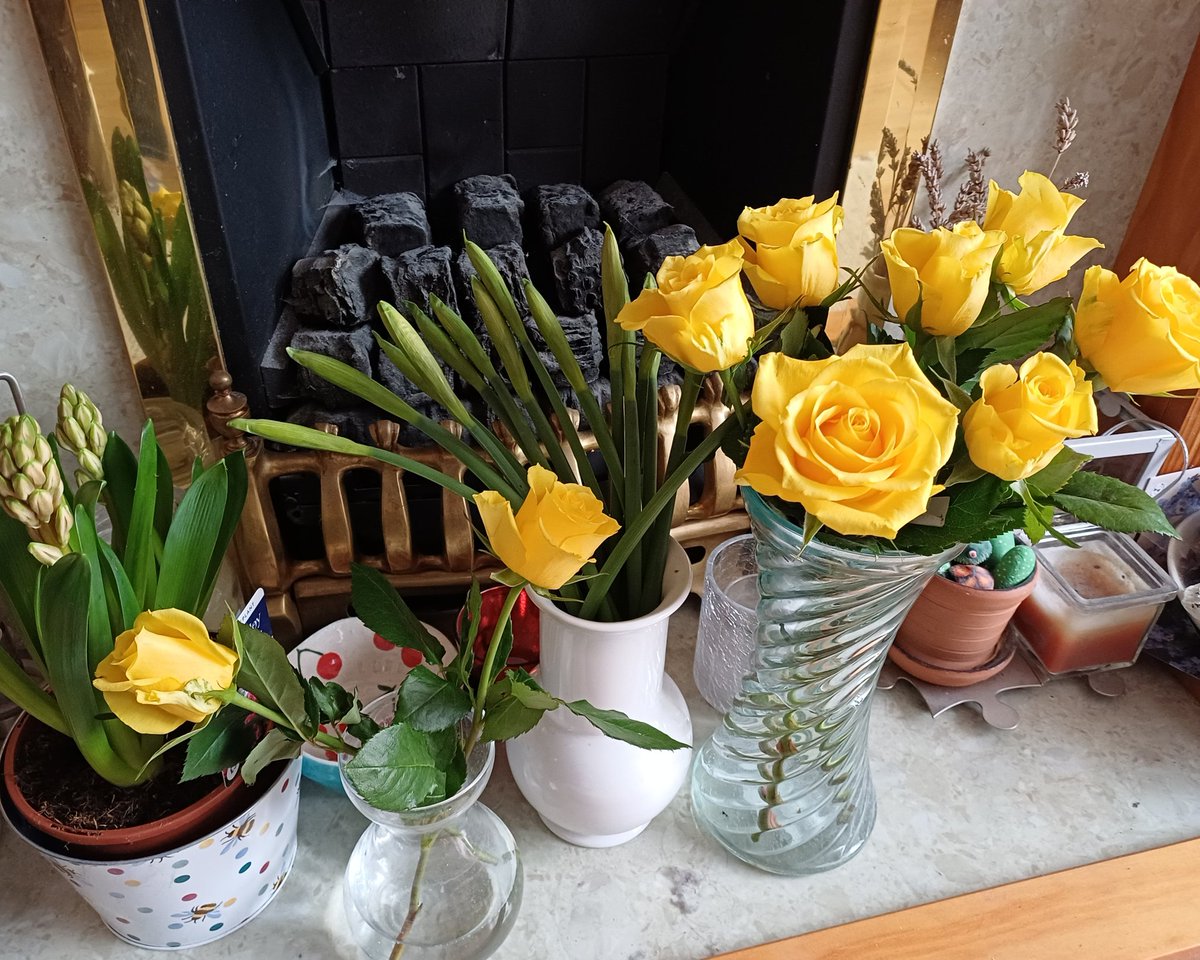 kendie's tweet image. Remembering Mum on her Birthday ❤️ Mum loved hyacinths 🪻 and they always remind me of her. When I came downstairs this morning I could smell the hyacinth even though it's not opened fully. Happy heavenly Birthday ❤️ #rememberingmum #mymum