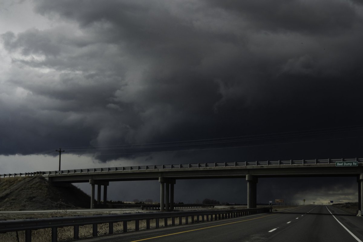 Oliver Dahl tweet media