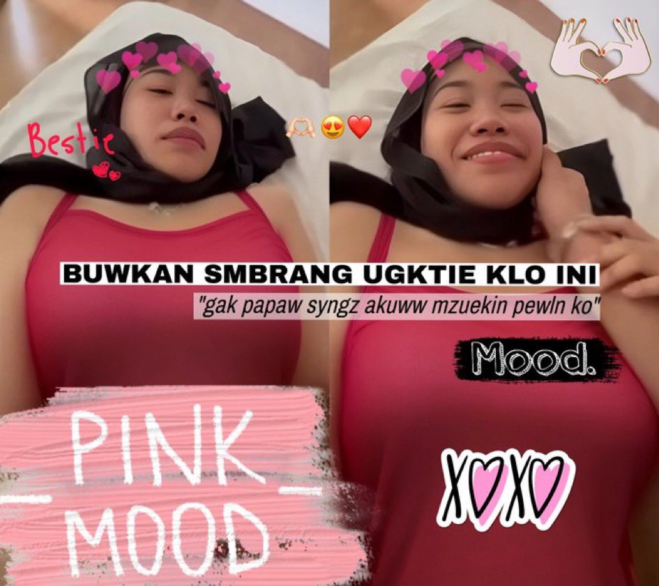 Marcopolo tweet media