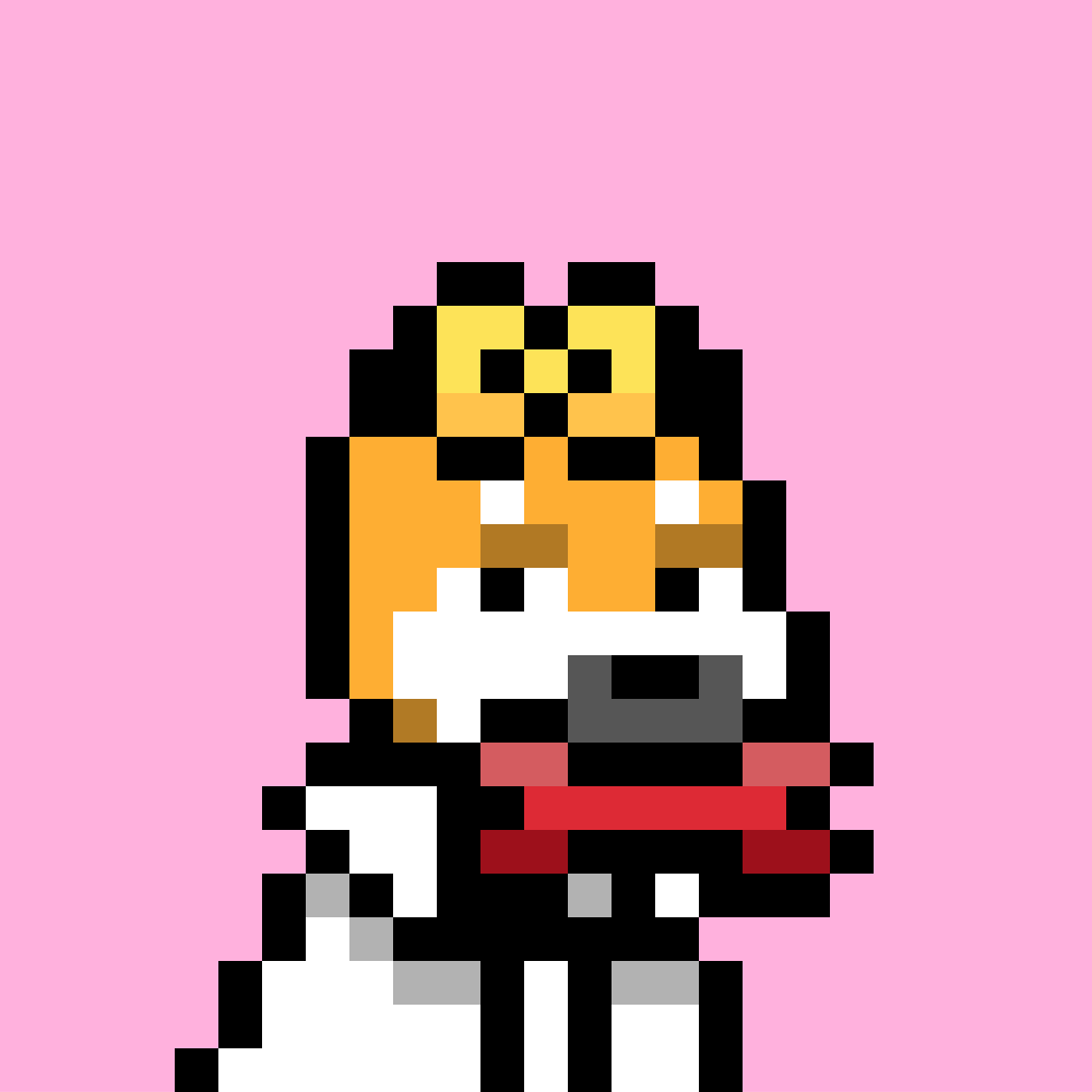 DDSalesBot's tweet photo. New @doginaldogs sale!
🐶 Doginal Dog #Doginal Dog #5583
💸 49998 DOGE (Price unavailable)
🏦 https://t.co/S2denHjP2B https://t.co/NPkEapRY7w