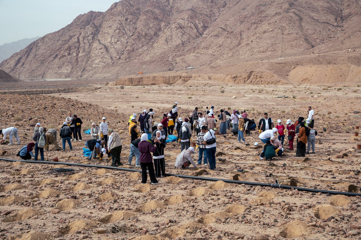 UNDP Jordan 🇯🇴 tweet media