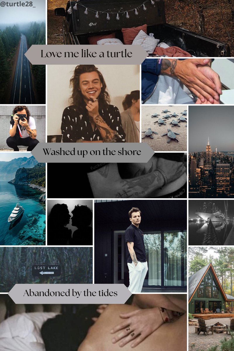 Turtally Awesome 🐢 tweet media