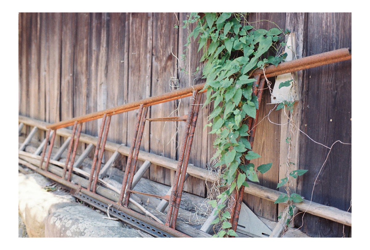 さち@写真垢 tweet media