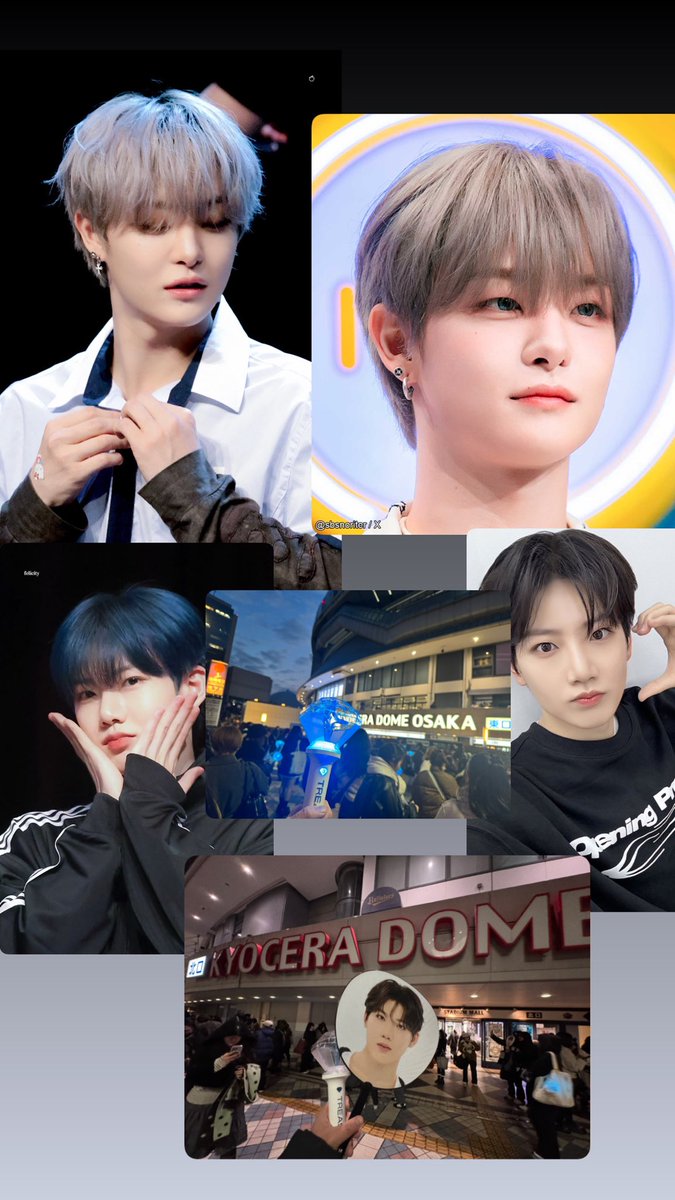 トムジェリペン tweet media