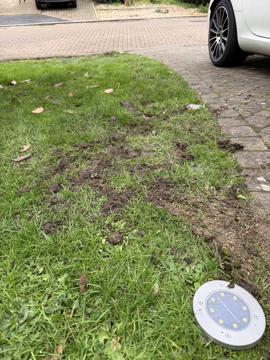 a_stretch1's tweet photo. Great job @virginmedia thanks for ruining my grass https://t.co/cxQBP9ANT3