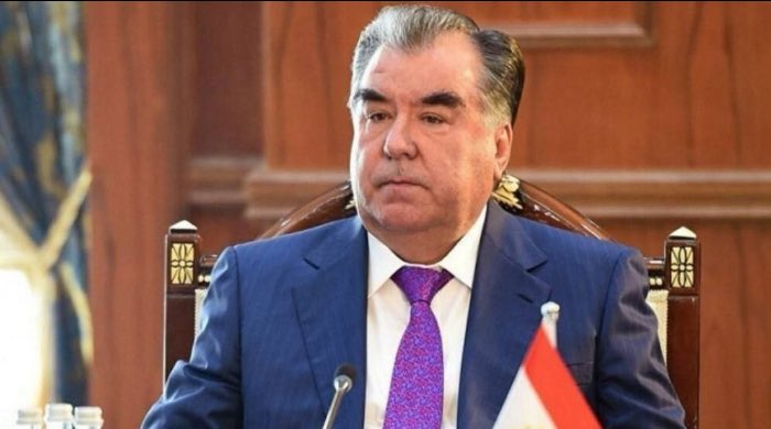 (@🌱Hony the Dr. tweet media