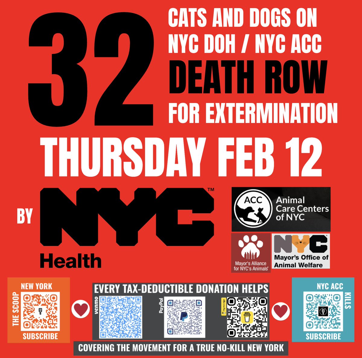 NYC DOH/ACC CARNAGE ALERT: <a href="/NYCMayor/">Mayor Zohran Kwame Mamdani</a> <a href="/NYCACC/">Animal Care Centers of NYC</a> <a href="/NYCHealthCommr/">Dr. Michelle Morse</a> <a href="/nycHealthy/">nychealthy</a> have 32 adoptable cats &amp; dogs set to die TOMORROW. Click for list.

drive.google.com/file/d/1cy6uXQ…

NYers: Your local &amp; state reps can demand DOH stop the slaughter — 34,000+ since 2015.