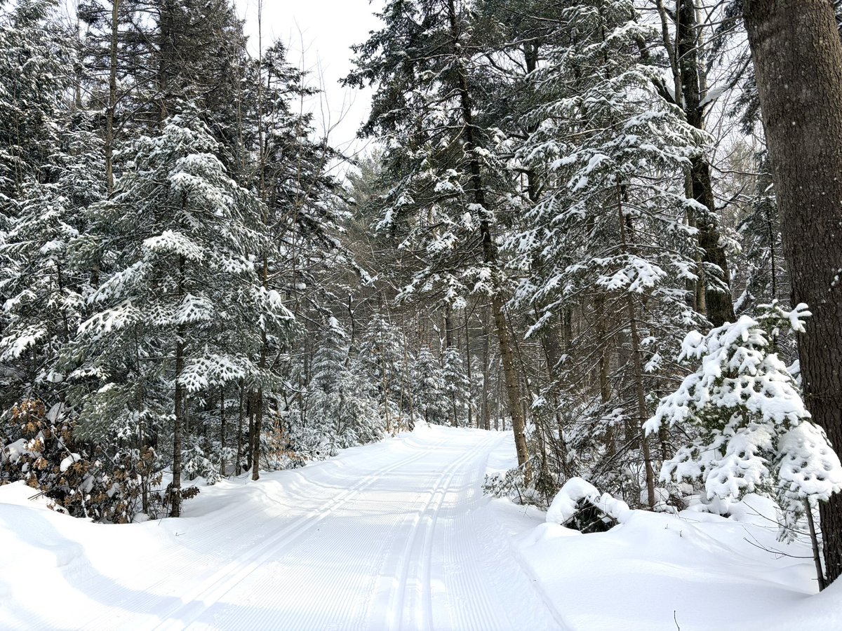 Marianne 🦮🐈⬛🐈🐈⬛🚴🏽♀️🌸👩🏻🌾 tweet media