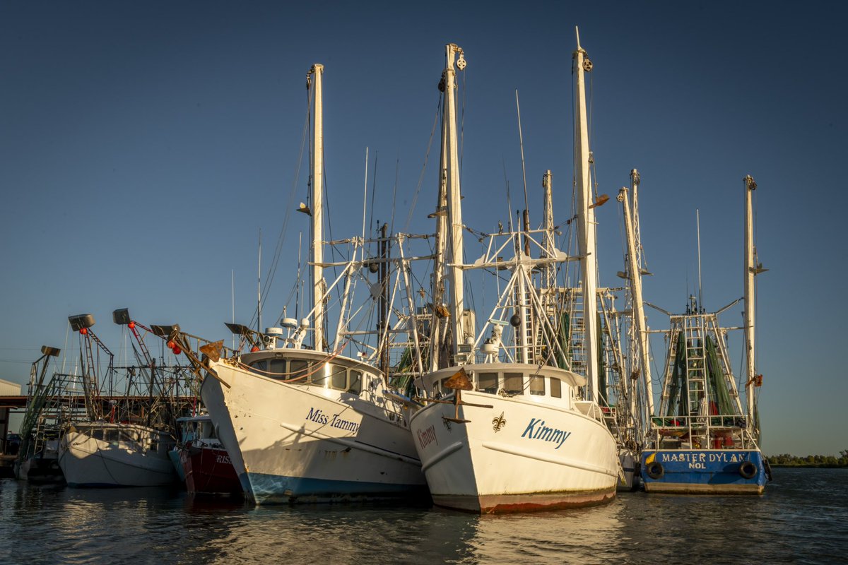 SeePlaquemines's tweet photo. Discovering Plaquemines Parish has never been easier. Whether you’re interested in history, coastal scenery, local flavors, or fishing, our itineraries help you plan your visit. Head to our website to explore the itineraries and plan your next adventure!

https://t.co/ErROOvv3h5 https://t.co/0VIf2yfeZ7
