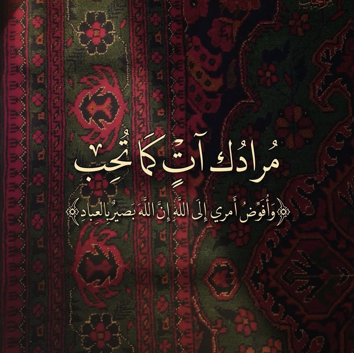 Tahfeez_al4at's tweet image. 