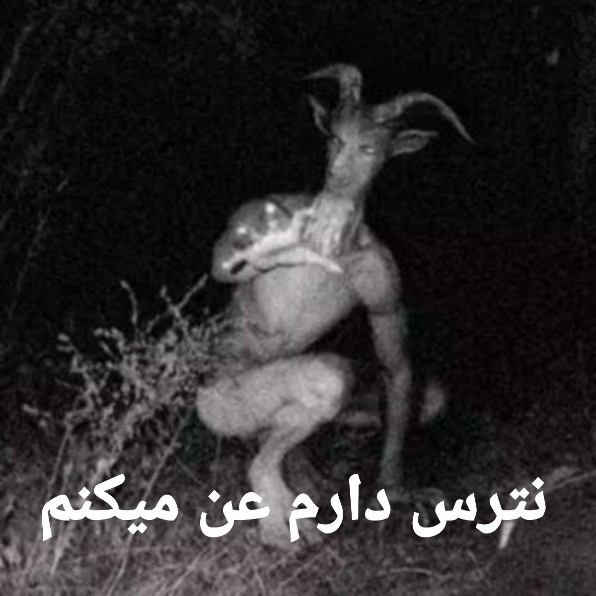 nako 🇮🇷 tweet media