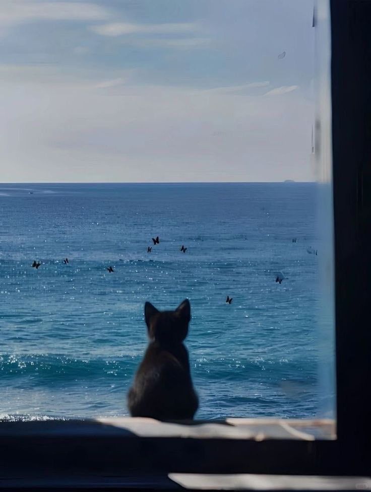 soli (@solisolsoli) on Twitter photo 