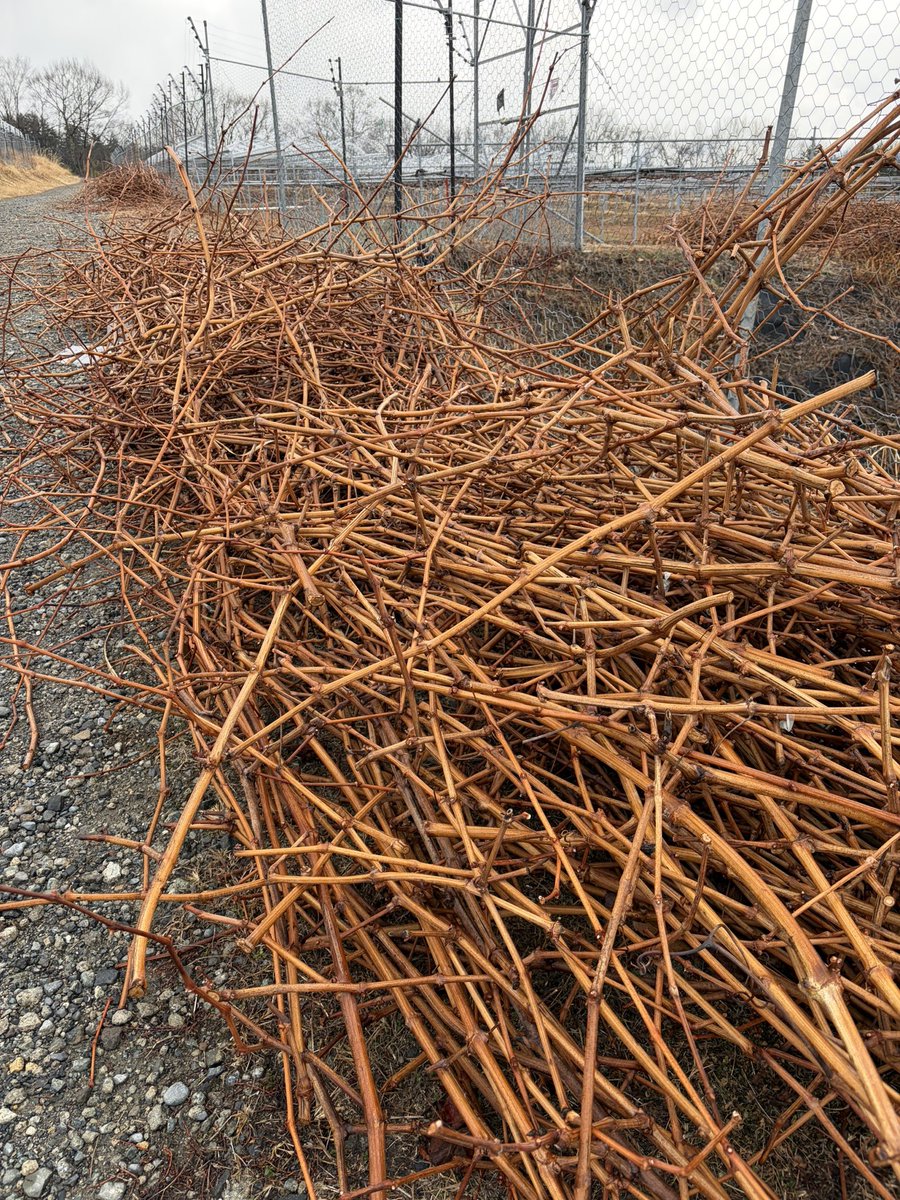 おはみゅうございます🍇

さむいさむい😌がんばるー！