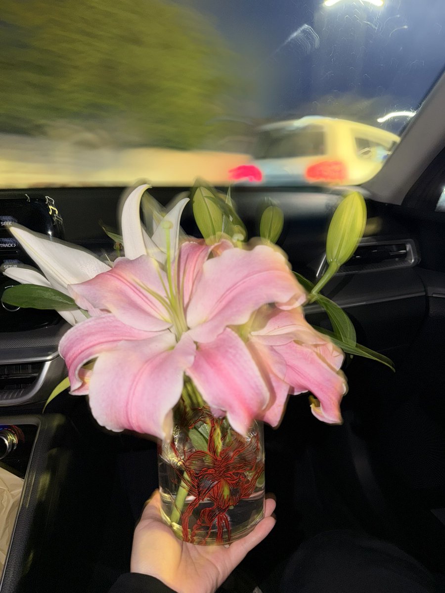 إي لأ tweet media