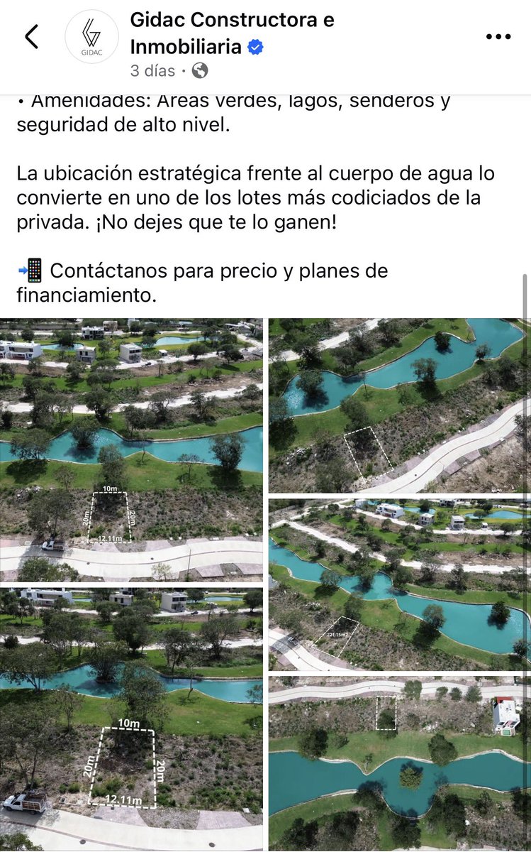 avispa de petén ☭ tweet media