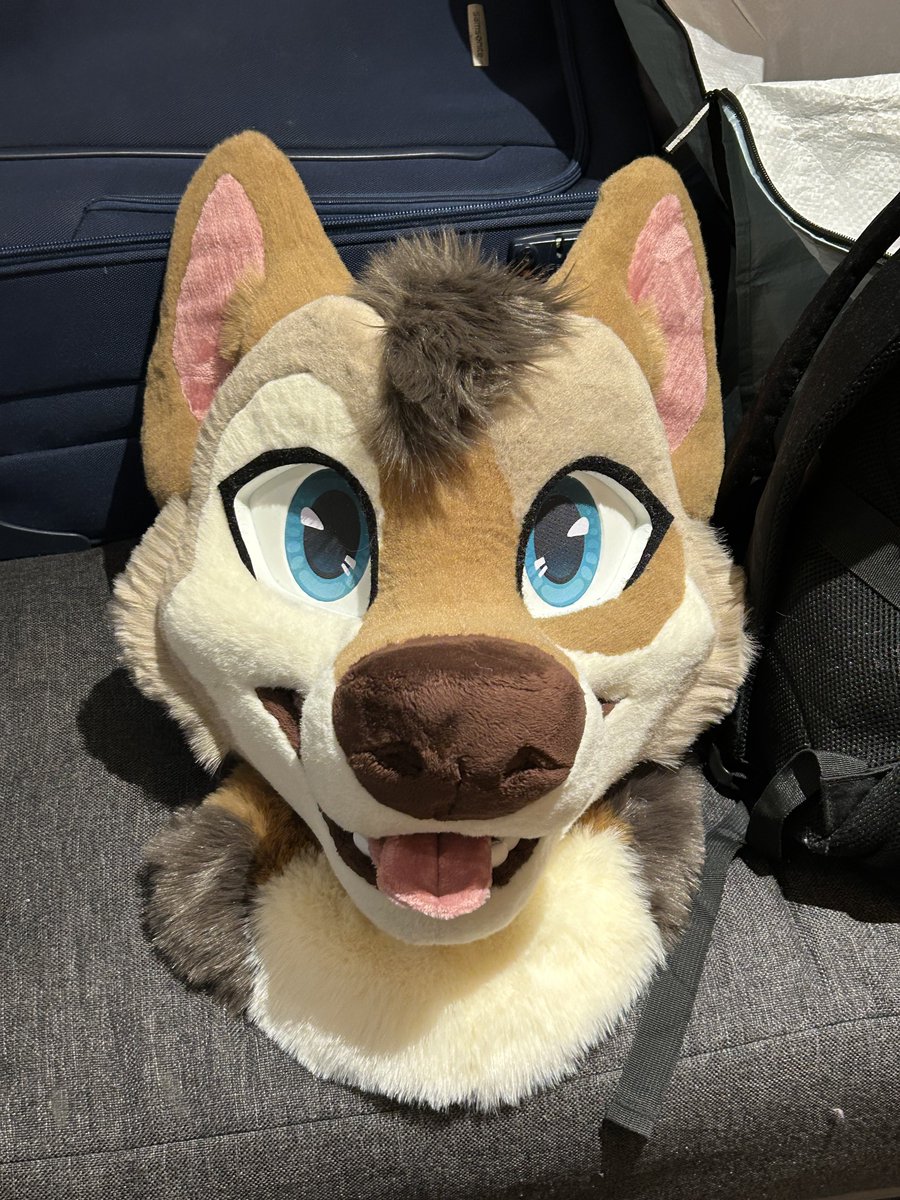 Houndmade Suits 🔜 CFZ tweet media