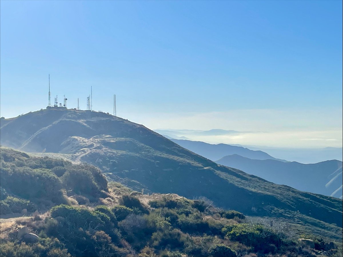 Day Wireless Systems tweet media