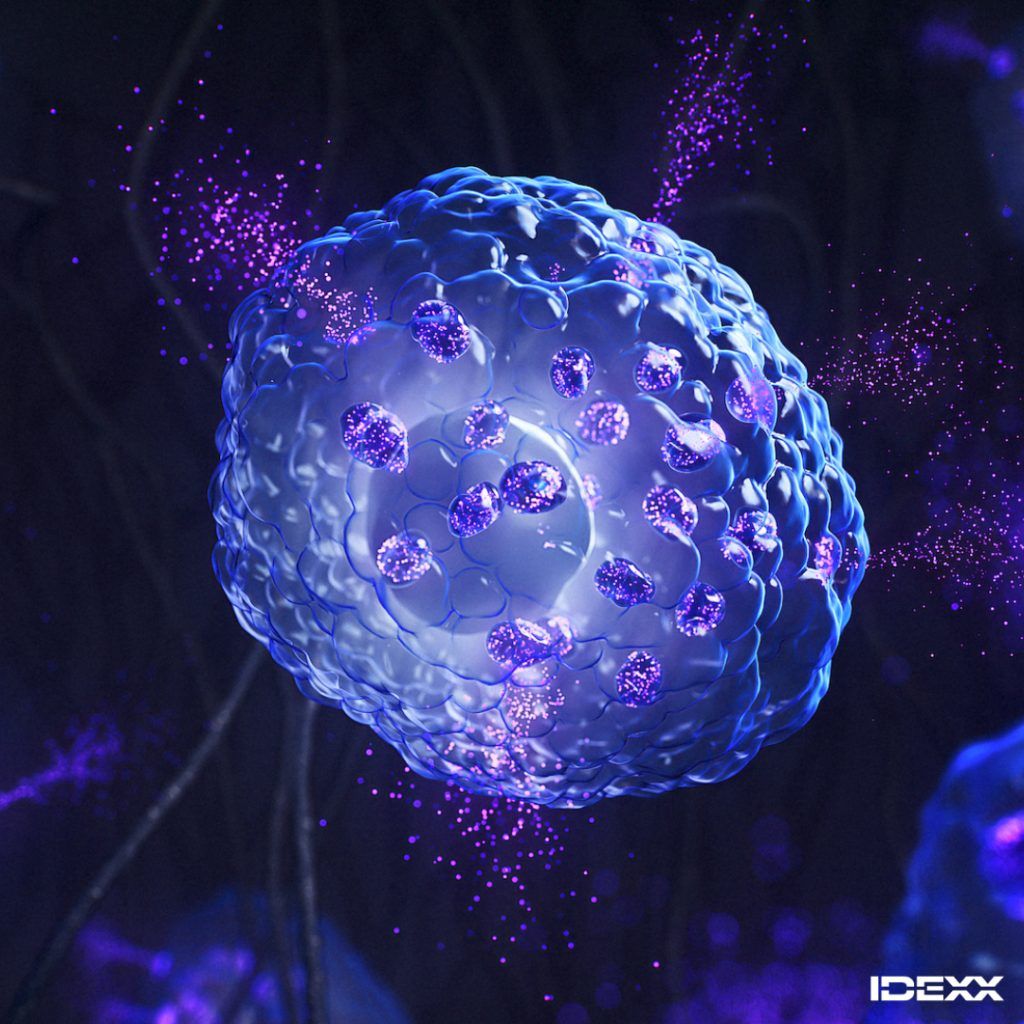 🚀 Exciting news from IDEXX! In mid-2026, they’re rolling out mast cell tumour testing for dogs 🐾 along with a new FNA cytology feature for in-clinic diagnostics 🧬. Learn how this will transform veterinary care! 🩺✨ 
#VeterinaryMedicine #DogHealth

veterinarypracticenews.ca/new-idexx-tool…