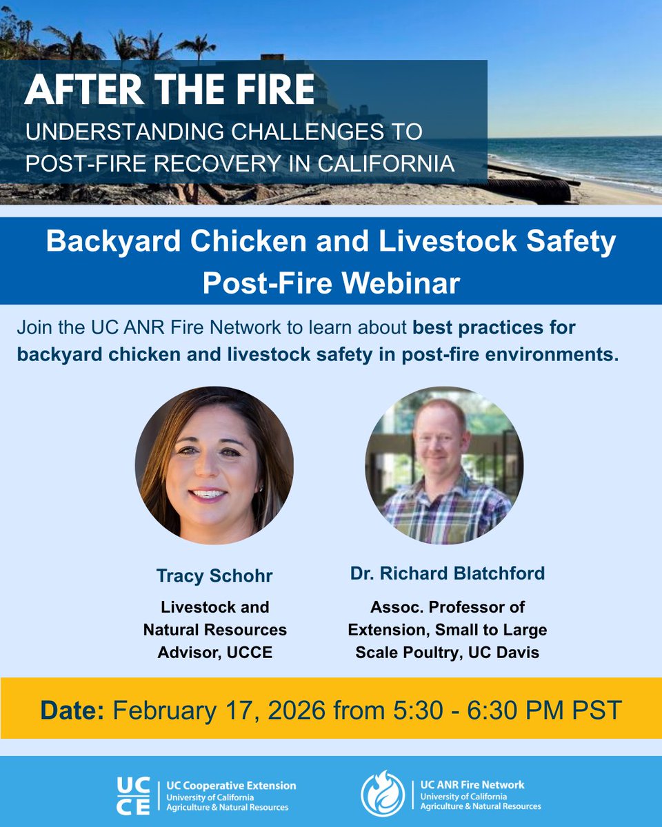 ucanrwater's tweet photo. 🔥🐓🐄 After the Fire Webinar (Next up: Feb 17)  Join the UC ANR Fire Network for: Backyard Chickens &amp; Livestock Safety (Post-Fire Webinar)📅 Feb 17, 2026 🕠 5:30–6:30 PM (PST)✅ Register by Feb 17: https://t.co/hIobNYEFd3 https://t.co/NfvuQcD8WI