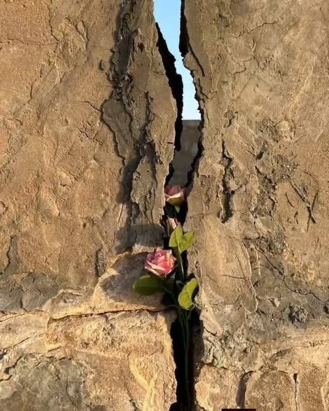 ﴿ إِنَّمَا أَمْرُهُ إِذَا أَرَادَ شَيْئًا أَنْ يَقُولَ لَهُ كُنْ فَيَكُونُ ﴾