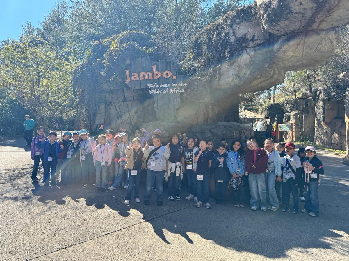 Lorenzo De Zavala - West Dallas tweet media