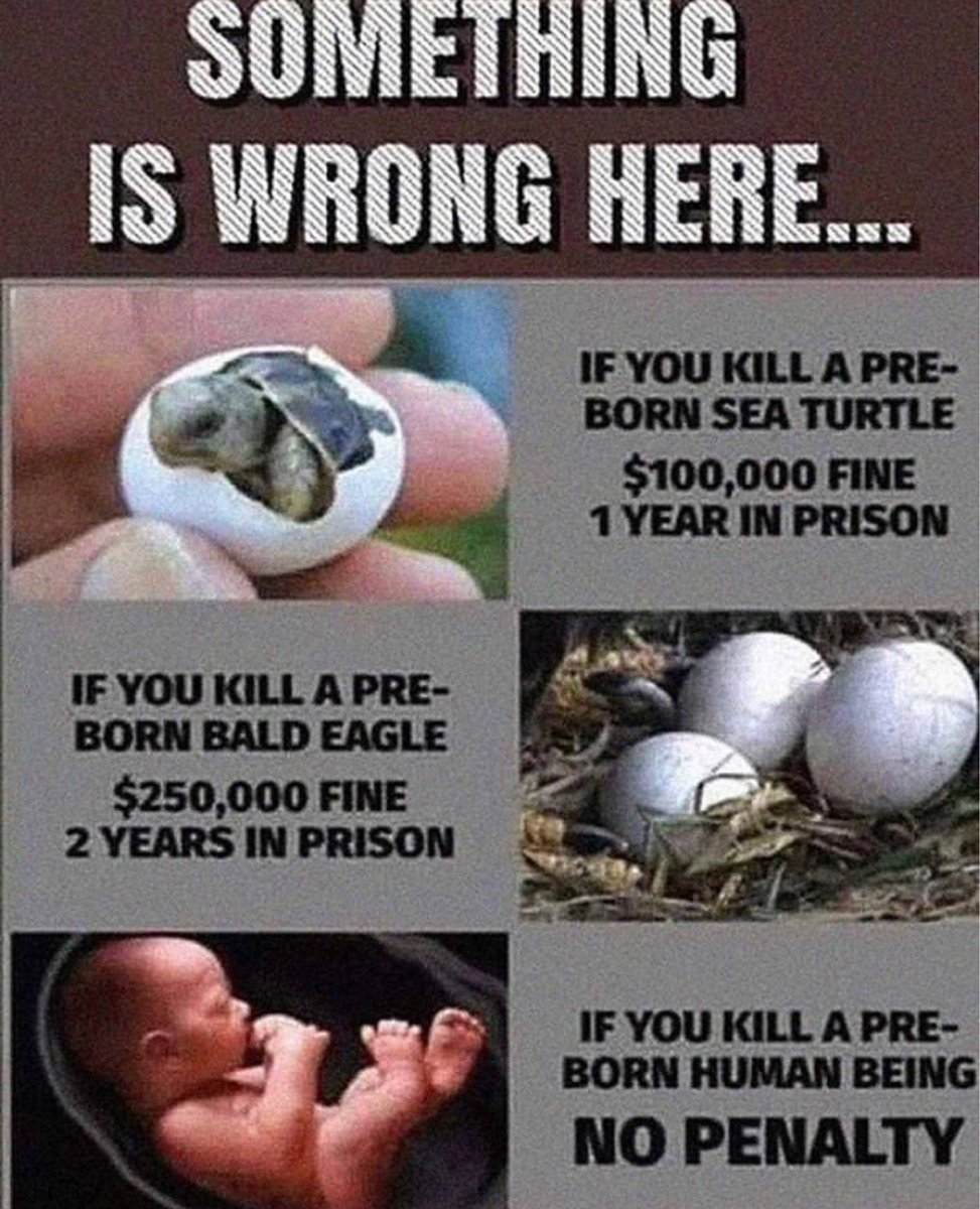 I  am Pro Life.  Something is truly wrong here….  🙏👶🕊️