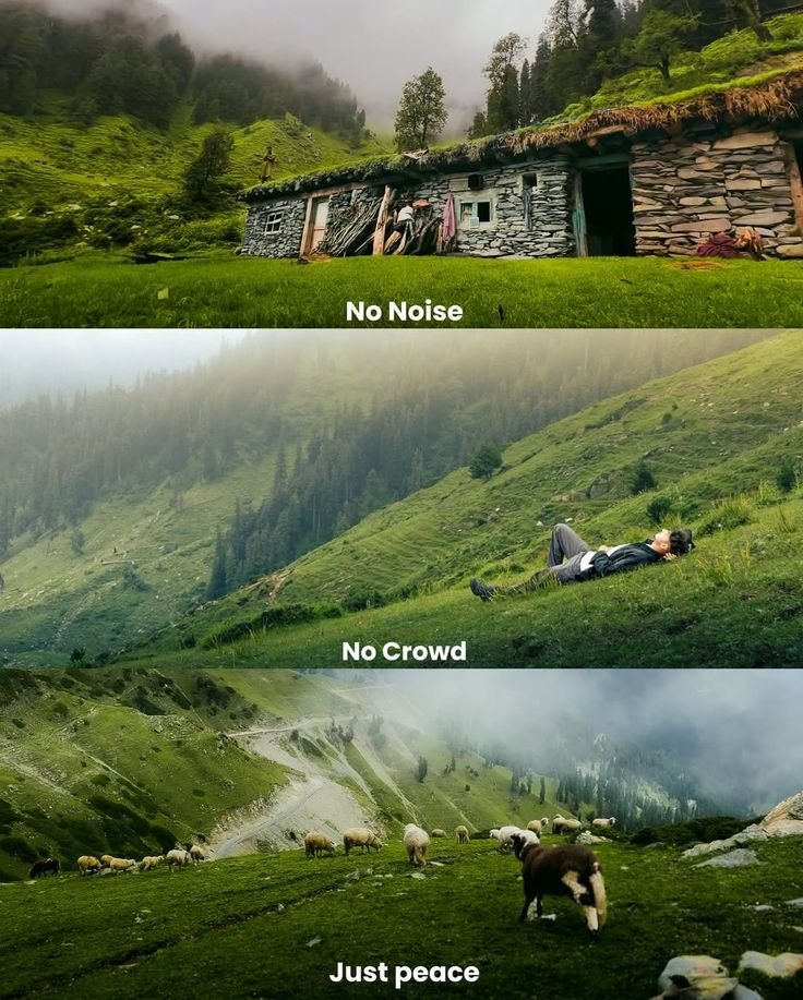 Mountain Cabins (@cabinsmountain) on Twitter photo 