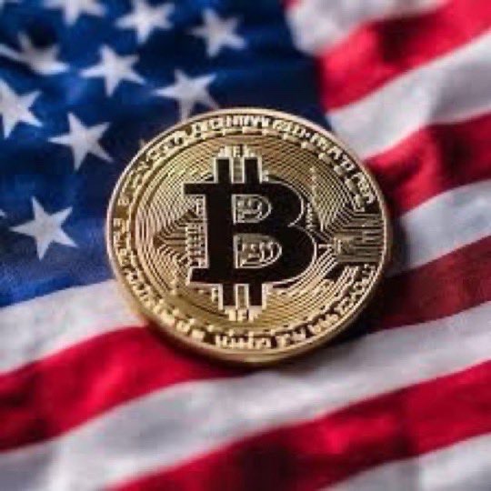 CryptoGoos tweet media