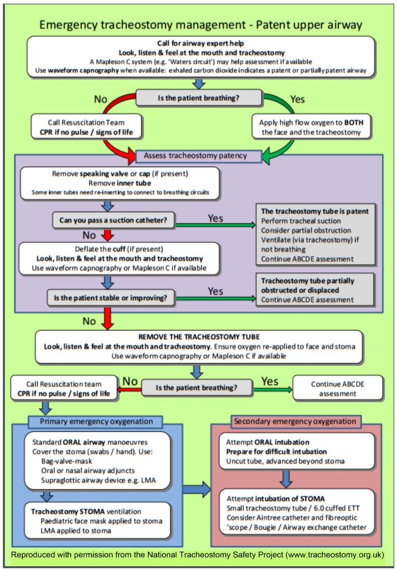 Management of Out–of–operating room Tracheostomy and Laryngectomy-related Emergencies

CCR Journal Watch 
criticalcarereviews.com/latest-evidenc…