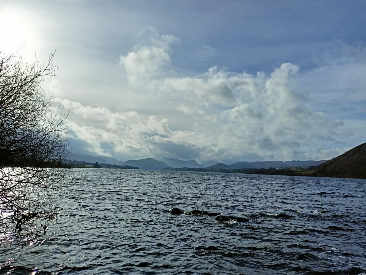 ♒ Michelle Masters #training consultant tweet media