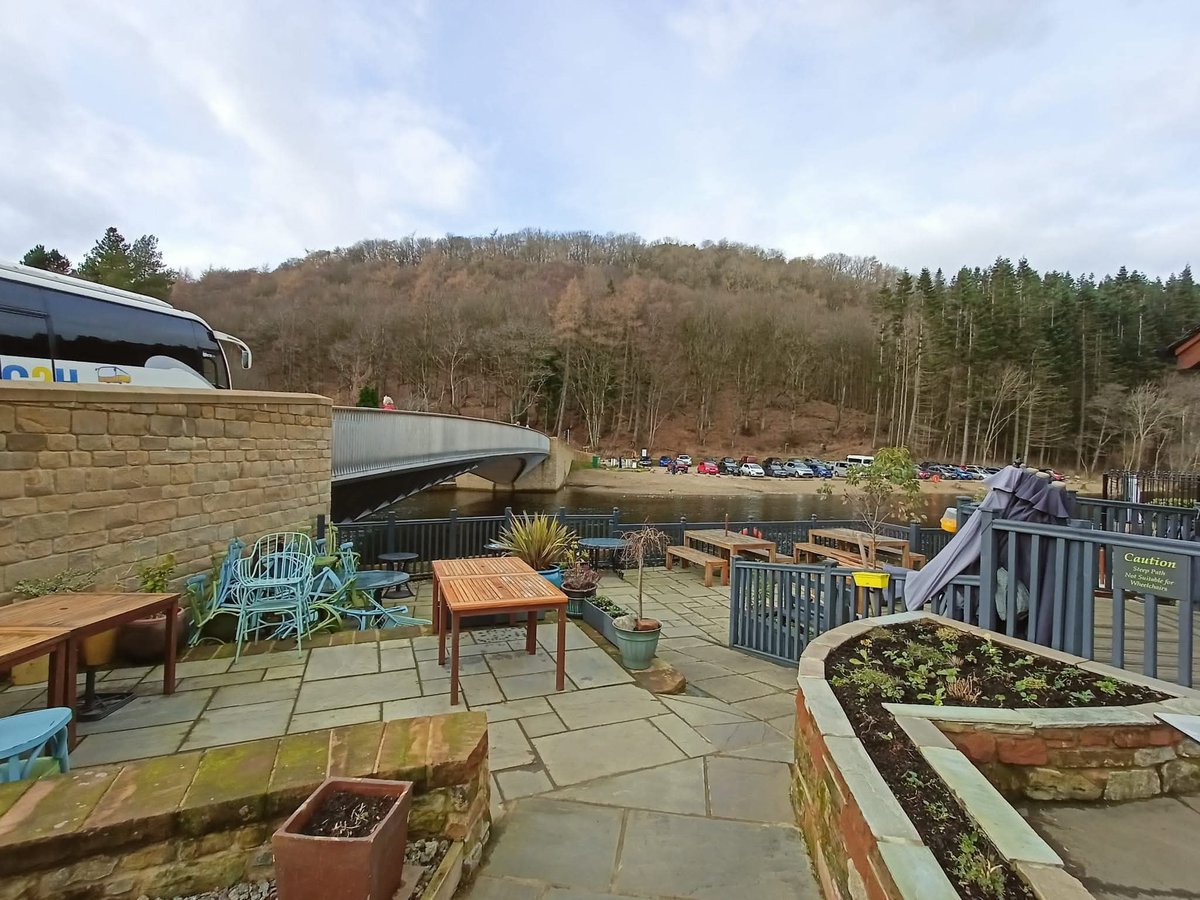 ♒ Michelle Masters #training consultant tweet media