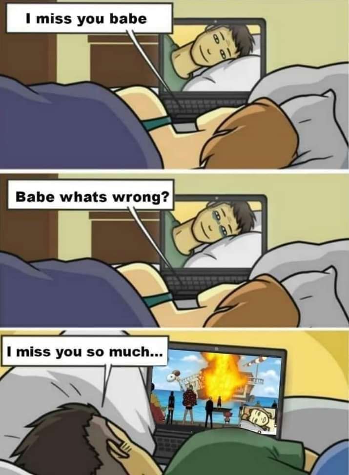 One Piece Daily tweet media