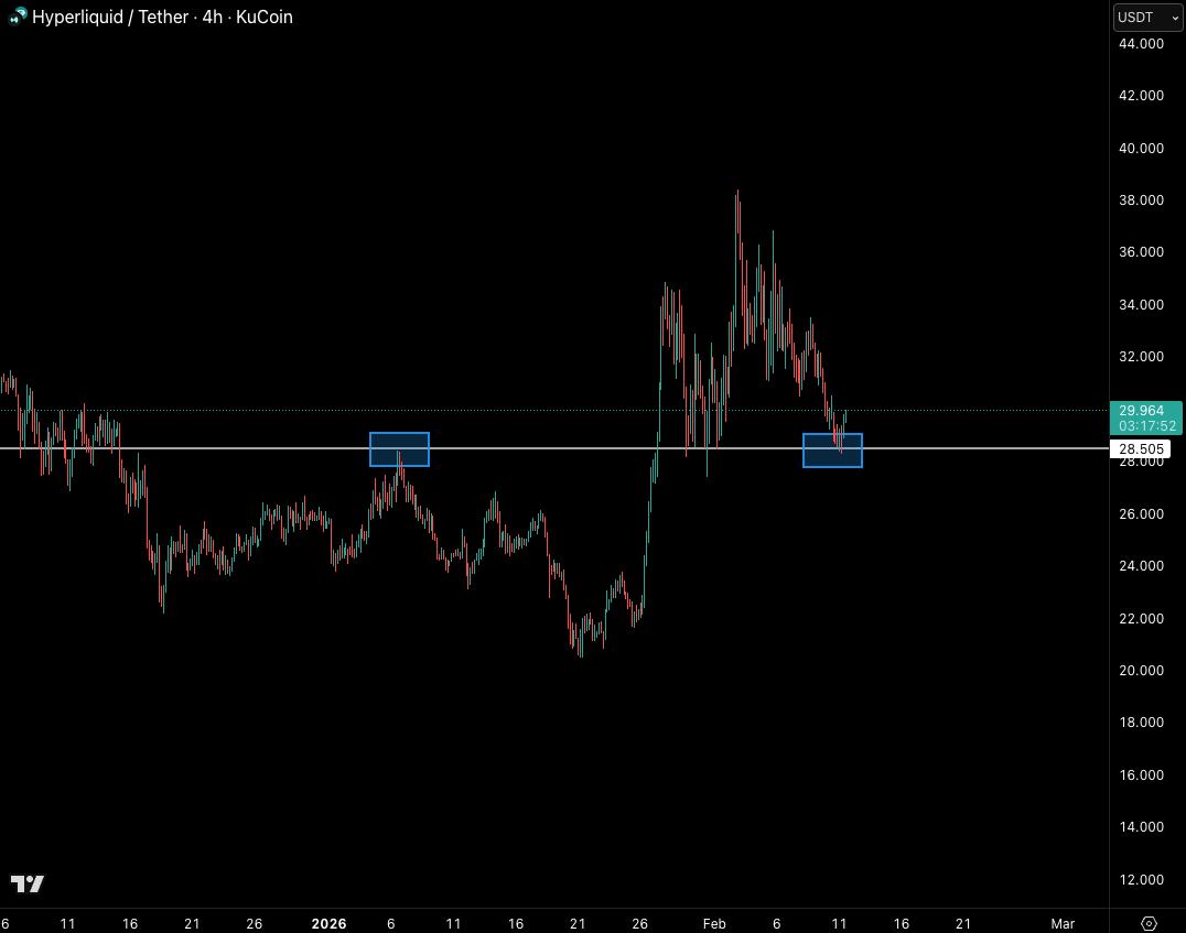 Castillo Trading tweet media