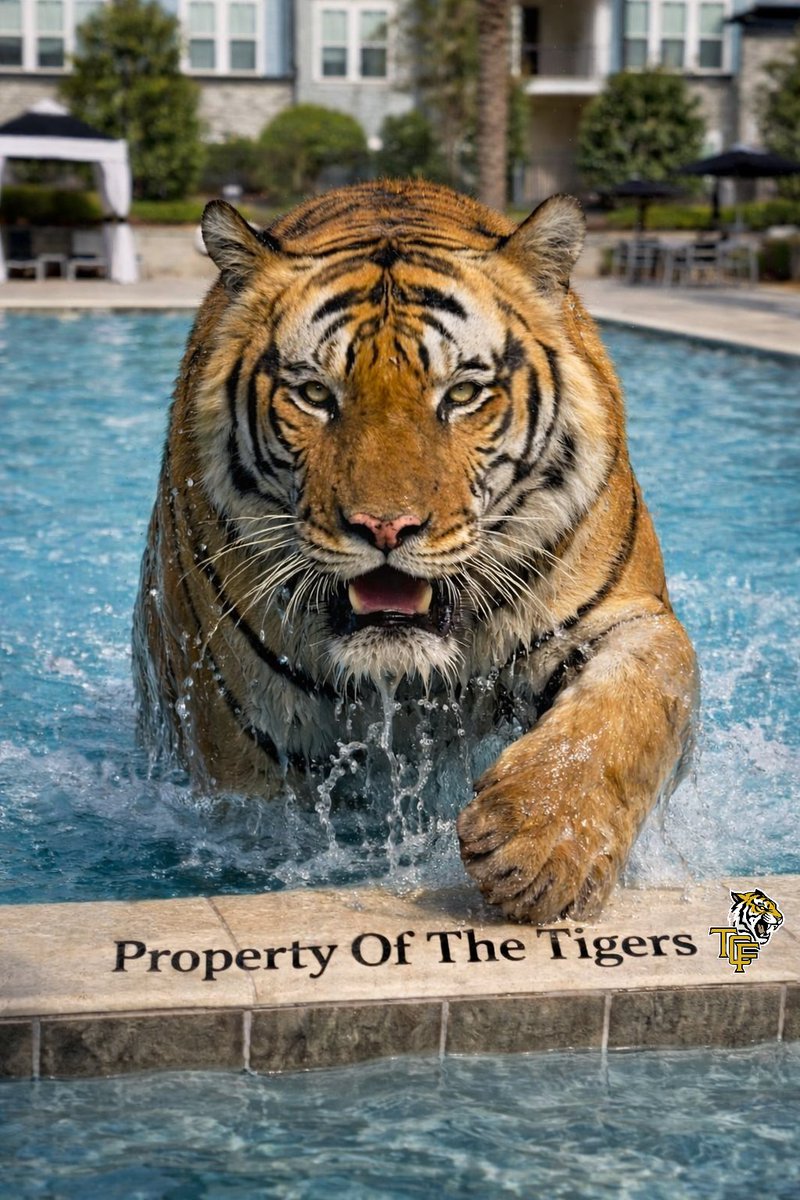 TCF Tigers Football tweet media