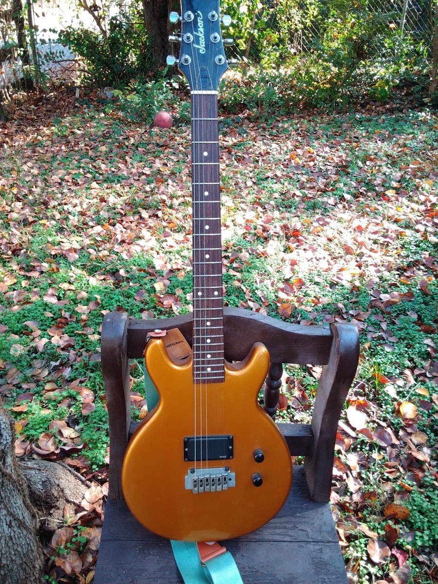 Happy #NationalGuitarDay to all who observe. Here's a few of my babies!