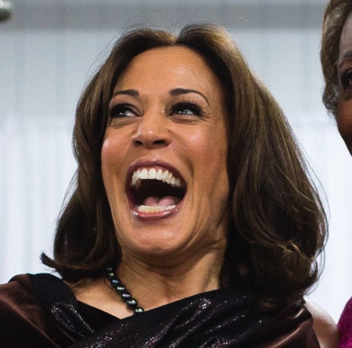 Are you able to name ONE thing that Kamala Harris is good at?