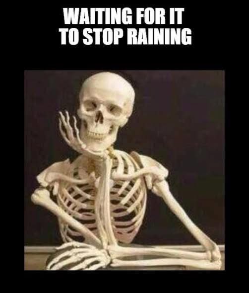 pat murray (@pat_splash) on Twitter photo 