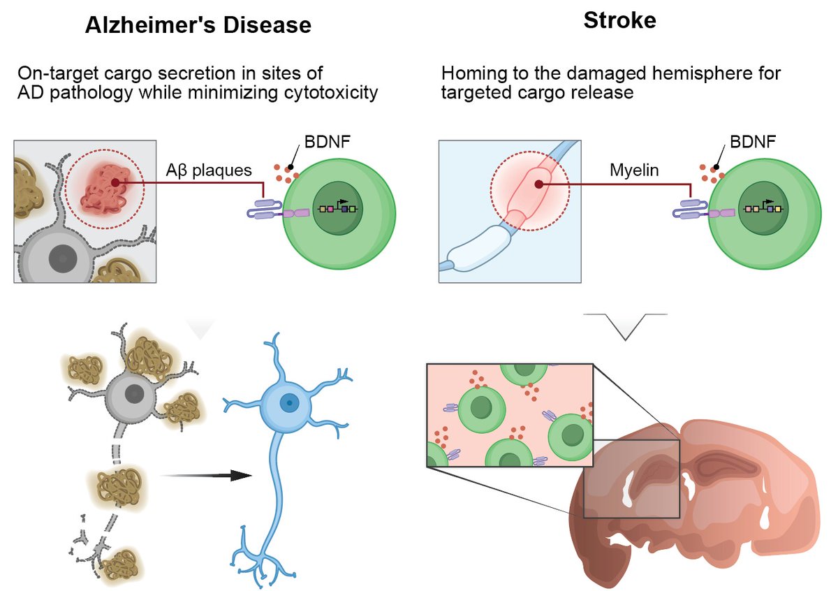 IdoAmitLab tweet media