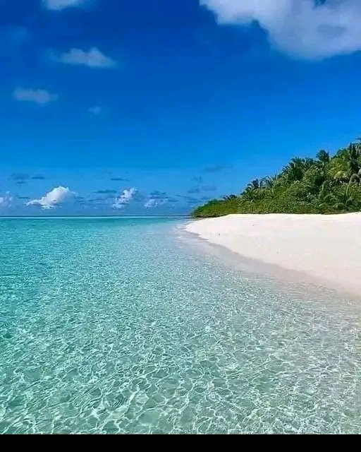 <a href="/Arle47996252/">Arle</a> ¿Cómo renunciamos a la paz, la tranquilidad y la soberanía conquistada? 
¿Cómo renunciamos a la isla que nos vio nacer? 💙🫂🫂🫂💙
#CubaIslaBella