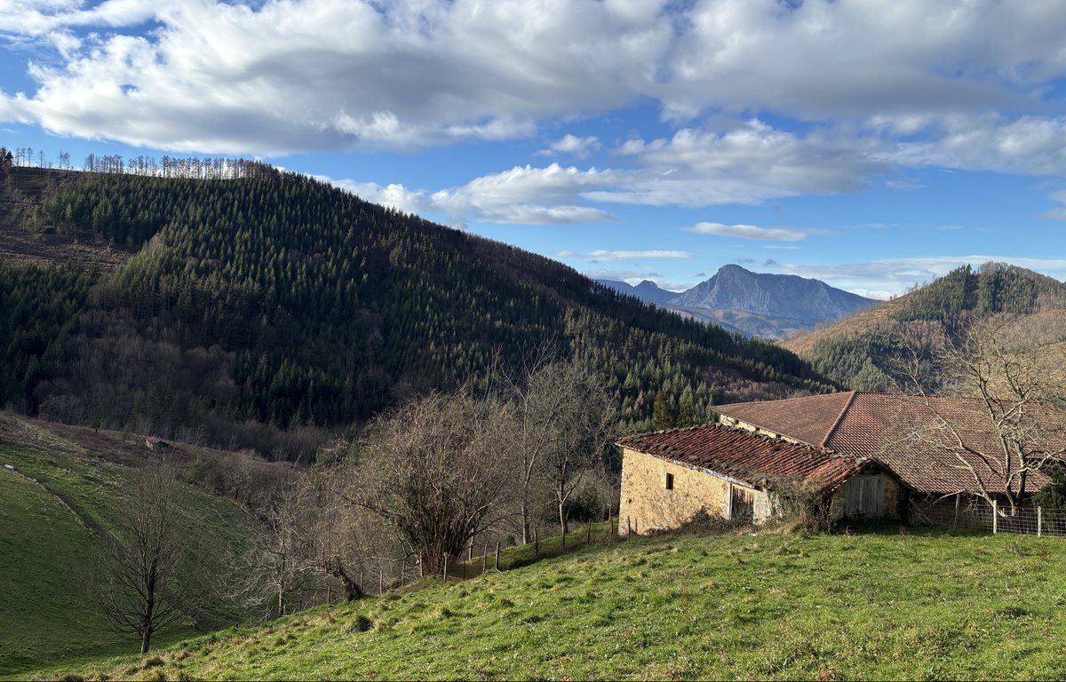 TRAS LA TORMENTA
renace la calma

Feliz noche
Alegre despertar
buena gente

🔴🔴🔴