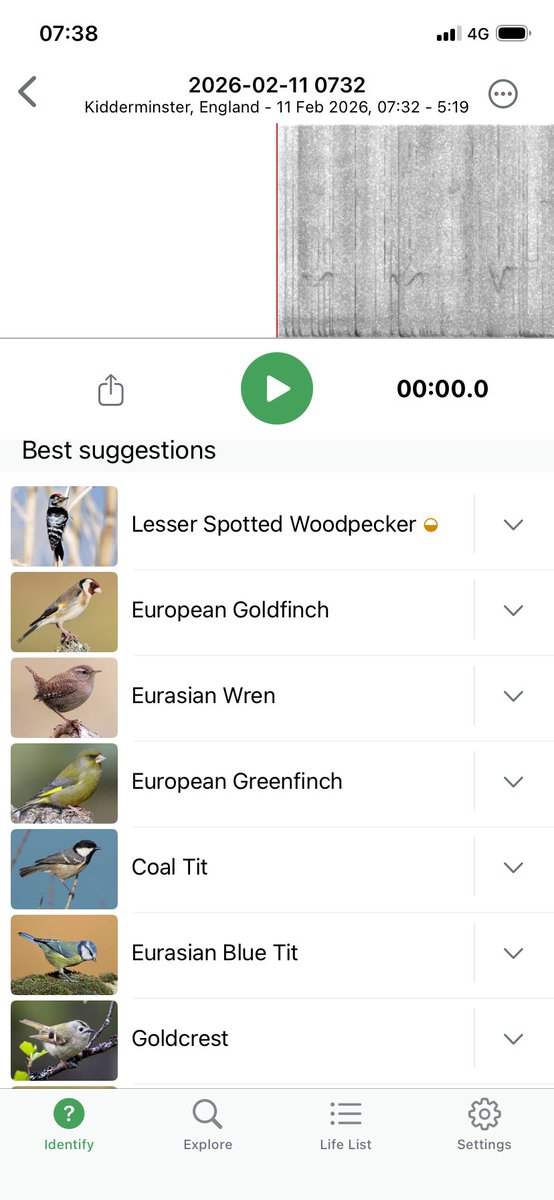 Jason Curtis aka wyrewildlife tweet media