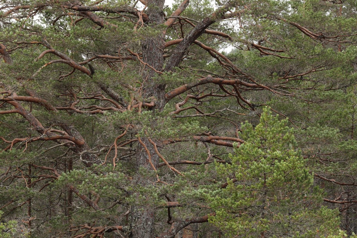 Alan Watson Featherstone tweet media