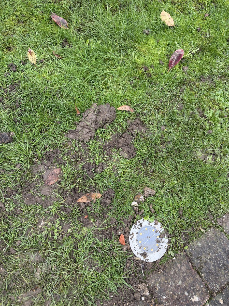 a_stretch1's tweet photo. @virginmedia https://t.co/pvj0pT6sDB