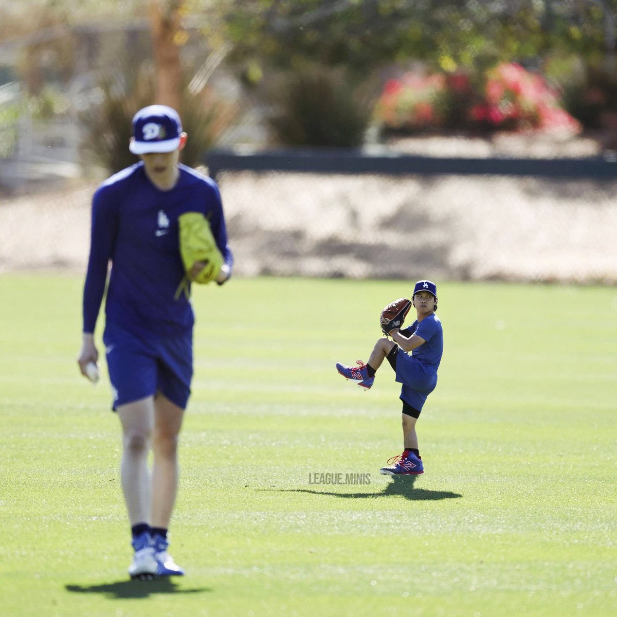 LeagueMinis's tweet photo. Spring is in the air ⚾️🌵 #ITFDB https://t.co/vPTJ3kNaS1