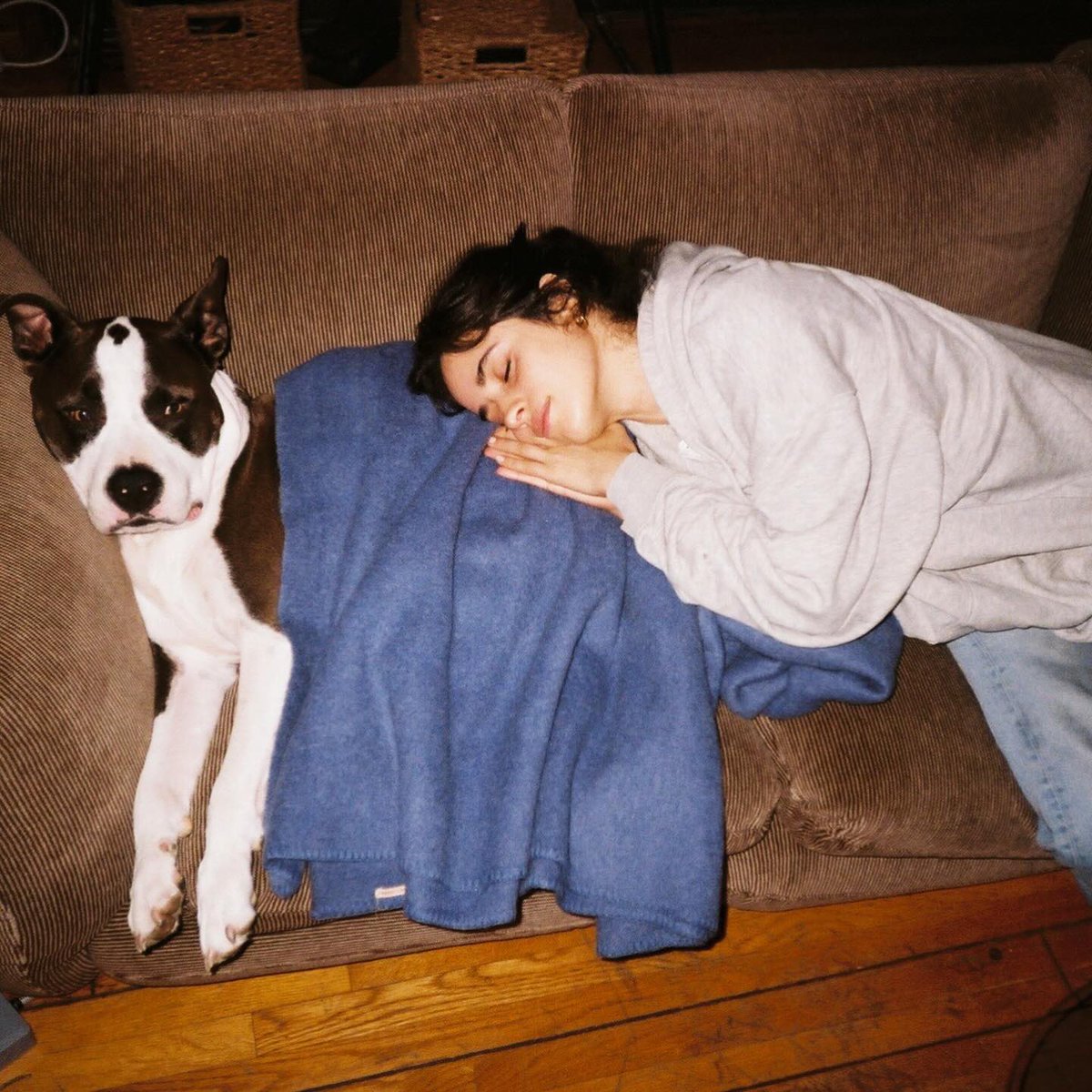 𝐘𝐨𝐮 𝐤𝐧𝐨𝐰 ✧ tweet media