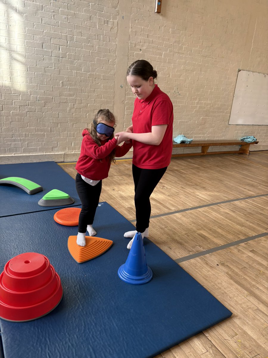 treuchafprimary tweet media