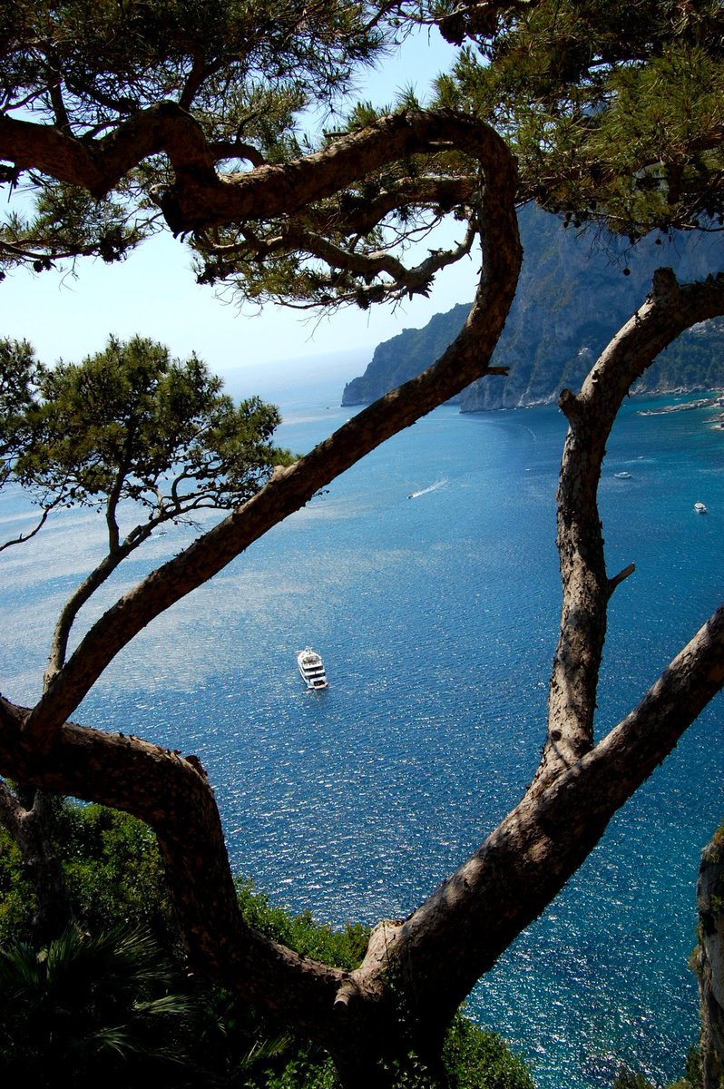 Your dreams are not an accident - That idea within you that wants to be born. You wouldn't have this dream if you weren't capable of it. 

It chose you. You're the chosen one. The world is waiting on you. The world needs you bro. Go.