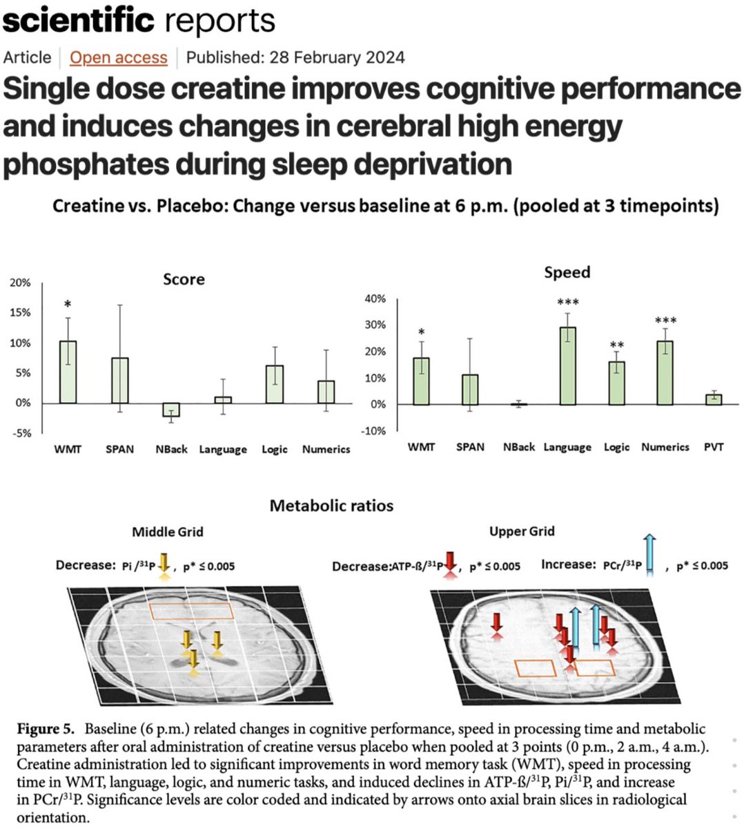 A SINGLE 20g dose of creatine increases cognitive processing speed by 24.5% within 3.5 hours.

A placebo-controlled trial found that creatine rapidly enhanced brain bioenergetics and improved cognitive performance during sleep deprivation, with effects lasting up to nine hours.